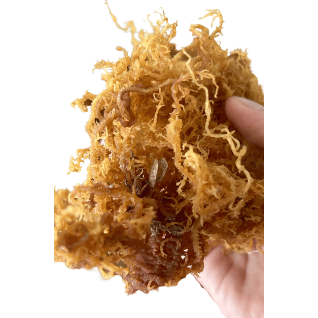 sea moss combo