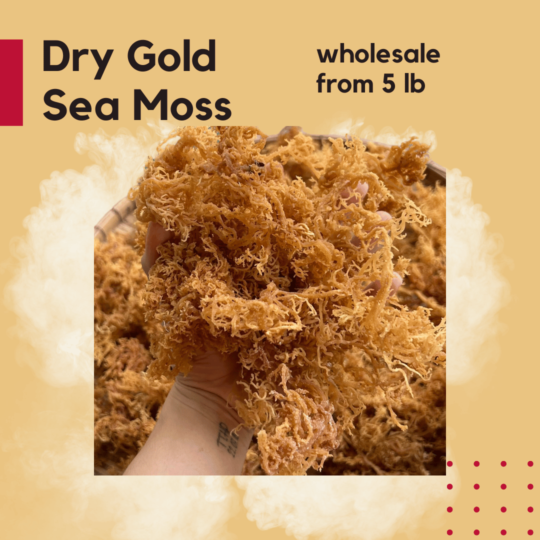 Gold Sea Moss Wholesale