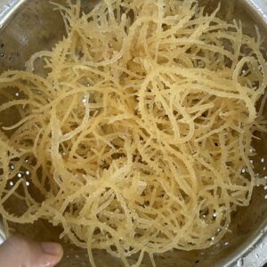 top sea moss supplier