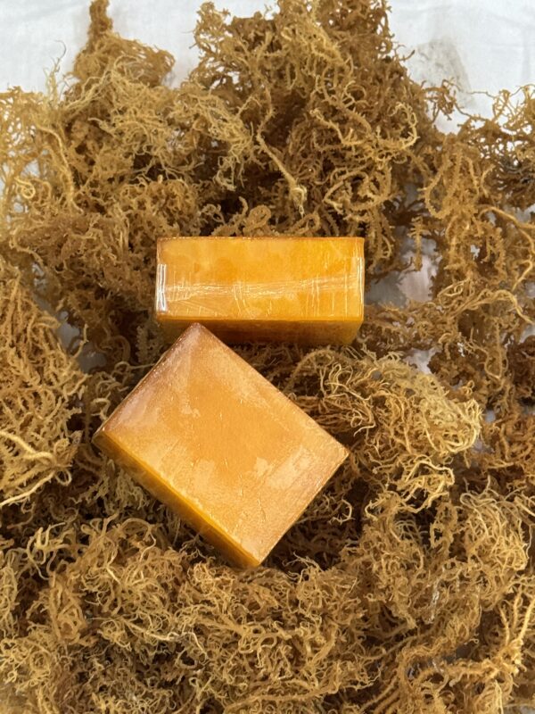 Sample Box - Choose your sea moss supplier - Image 6